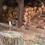 Na Warmii ビスクピエツ